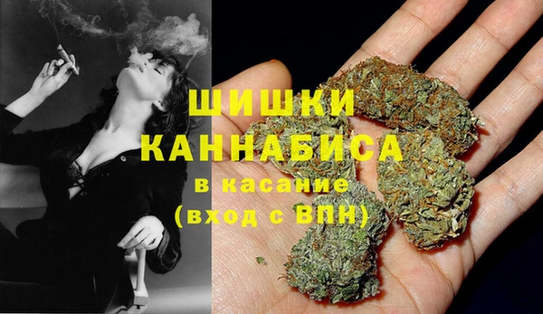 мет Арсеньев