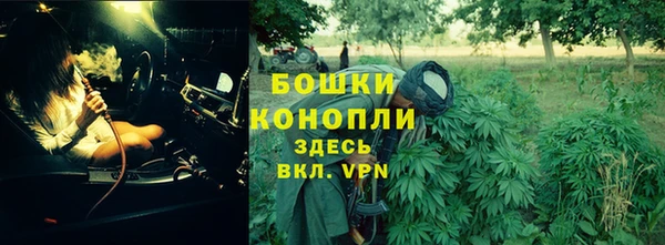 мет Арсеньев